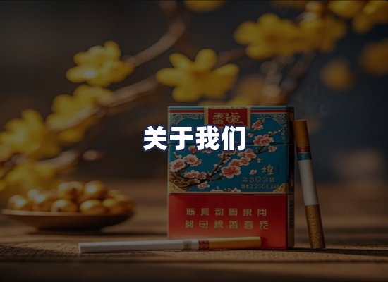 关于我们